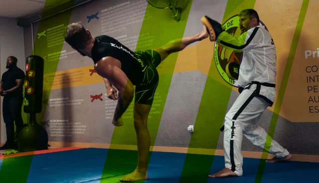 conor mcgregor kicking technique