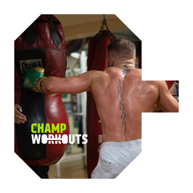 conor mcgregor training